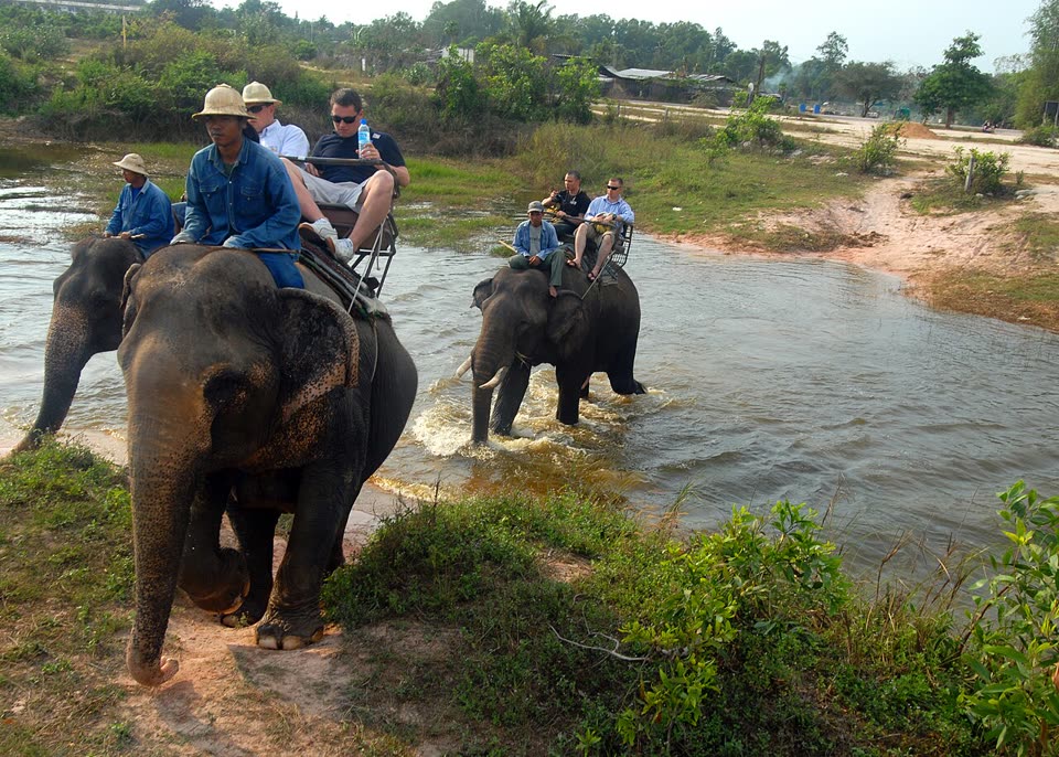 Pattaya Elephant Village